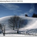 엔돌핀 - 이천시 둔터로 57-3 | 엔돌핀