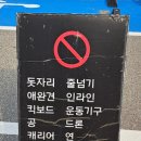 꽃과정원 - 영등포구 당산로 222 | 꽃과정원
