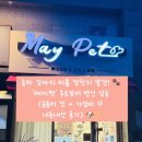 뽀송뽀송애견놀이방 | [송파 강아지 미용] 다둥이네 추천! 가성비와 실력을 다 잡은 '메이펫' 방문 후기 ✂️🐶