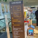 코코스퀘어 애견미용 이미지