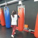 격투피트니스 송파 이미지