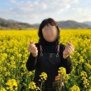 청산도OK펜션민박 | 가족여행 숙소 기준 바꿔버린 청산도펜션 청산도ok펜션 후기