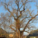 대흥 마을회관 이미지