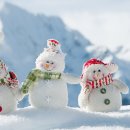 자작나무어린이집 이미지