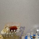 마음치주과치과의원 이미지