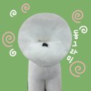 댕댕미용 이미지