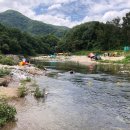 우래골 대추나무 농원 이미지