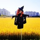 농촌이야기 - 유성구 농대로 27 | 농촌이야기