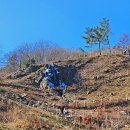 일부1리 이미지