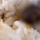 대학식당 이미지