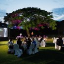 제주리브 이미지