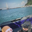 미미다이브 네이버블로그