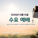 20251210 포도원교회 수요예배 / 생각하라 담대하라 인내하라 (히10:32-39) 김성유 목사 이미지