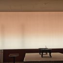 동양제모 이미지