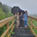 어슬렁대추정원 이미지