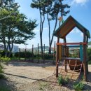 금마초등학교 이미지