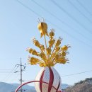 섬진강대숲길 이미지