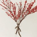 어니스트(honest) 이미지