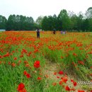 성한농장 이미지