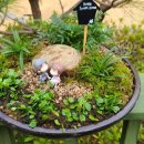 미니정원 이미지