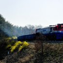 연화세천 이미지