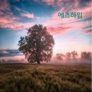 에츠하임 이미지