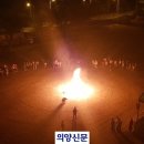 가납초 이미지