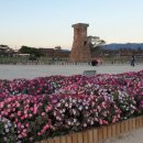 구룡포아구탕집 이미지