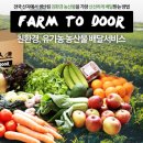 팜투도어