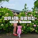 제주청소년수련원 | 제주 수국 명소 성이시돌 젊음의집 핑크수국 정보 총정리