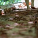 하대동295 이미지