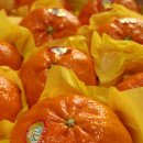 지우네 농장 이미지