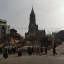 알파명동성당