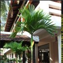 앙코르호텔 이미지