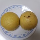 앙꼬없는옛날술찐빵