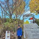 DMZ 평화의 길 4-1코스(지선코스) 이미지