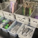 대구곤충마트 이미지