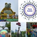 Nanofood RS 일산호수공원 국제꽃박람회 국내외 25개국과 나노버블 스마트팜 나노아트 융합. 나노식품 영양전달체 창시자 김동명 이미지