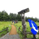 야생화단지내 이미지