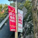 대구웨딩박람회 후기 - 엑스코 고구마웨딩