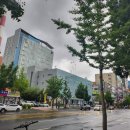 서울글로우안과의원 네이버블로그