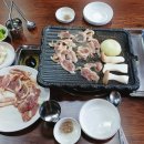 신바람오리 이미지