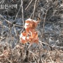 삼천장