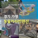 고요펜션 | [경기 가평] 아침고요수목원 근처 가평글램핑장 후기 | 동물카라반펜션