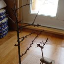 엘크사슴 이미지