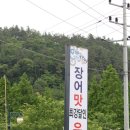 고창선운사 정금자할매풍천장어 이미지