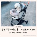 데일리도그 | 왓도그캣 무료펫선물 이벤트로 포로리 펫유모차 받은 후기와 신청방법