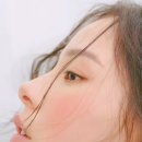 그리니크