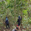 포레스트리 이미지