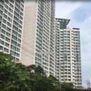 명성초등학교내 이미지